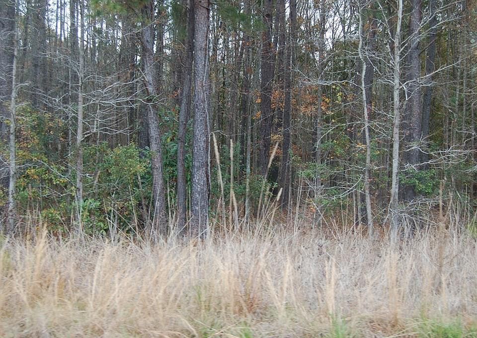 Carver School Rd, Cope, SC 29038 Zillow