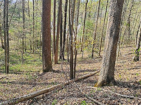 Upper forested lot