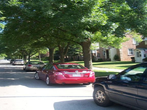 5th image of this home
