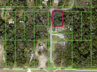 LOT-175C Madison Ave LOT 175C, Dade City, FL 33523