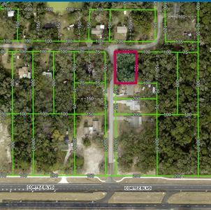 Lot 175C MADISON AVENUE LOT 175C, Dade City, FL, 33523