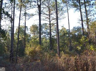 0 Sandpiper Ln TRACT 2, Swainsboro, GA 30401