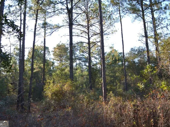 0 Sandpiper Ln Tract 1, Swainsboro, GA 30401