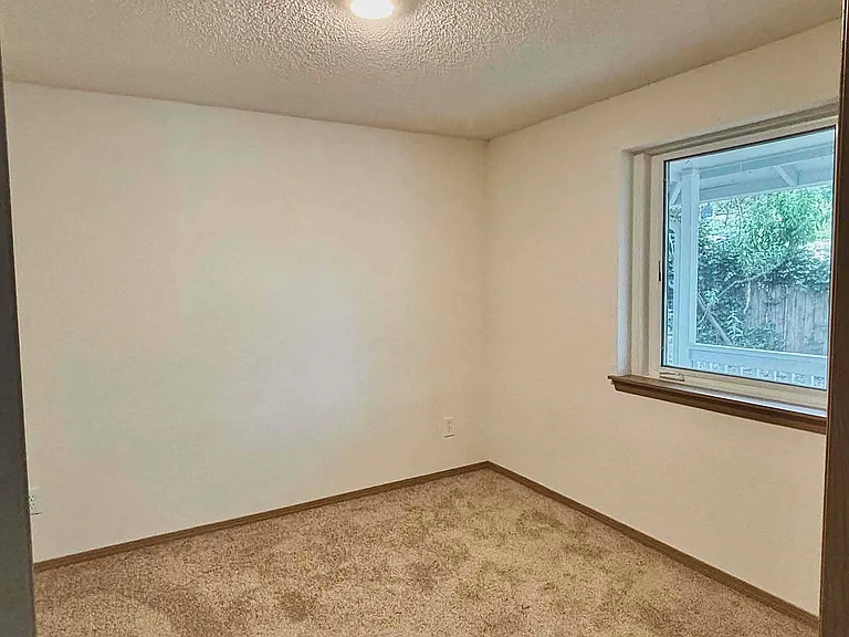 Lower level bedroom