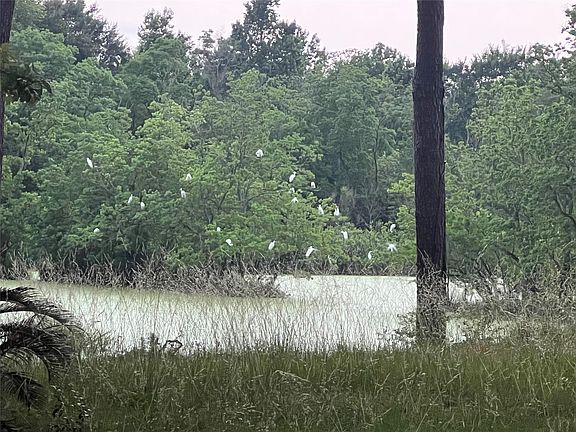 4th image of 30403 Walnut Creek Rd