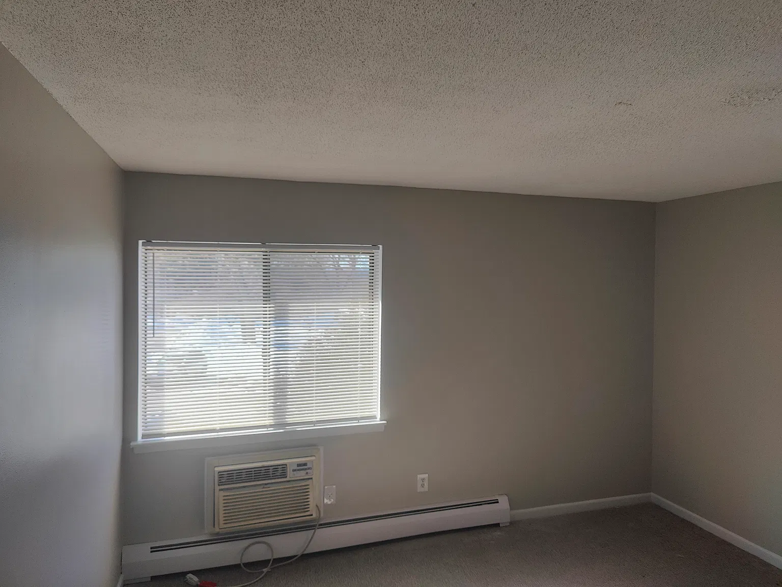 933 High Path Rd — Photo 3