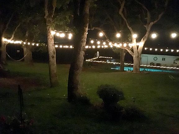 Pool & yard at night