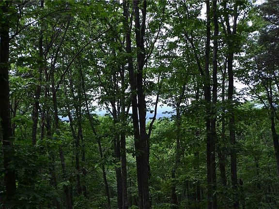 4th image of 206R Mystic Trail Ln