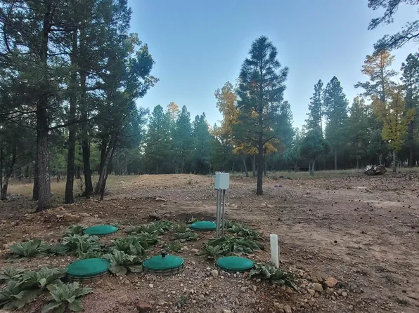 2857 Sparrow Dr, Happy Jack, AZ 86024