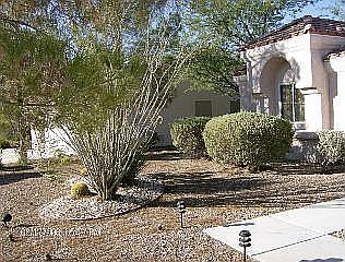 Front yard