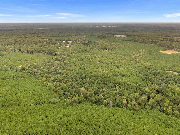 3rd image of Fm 31 N