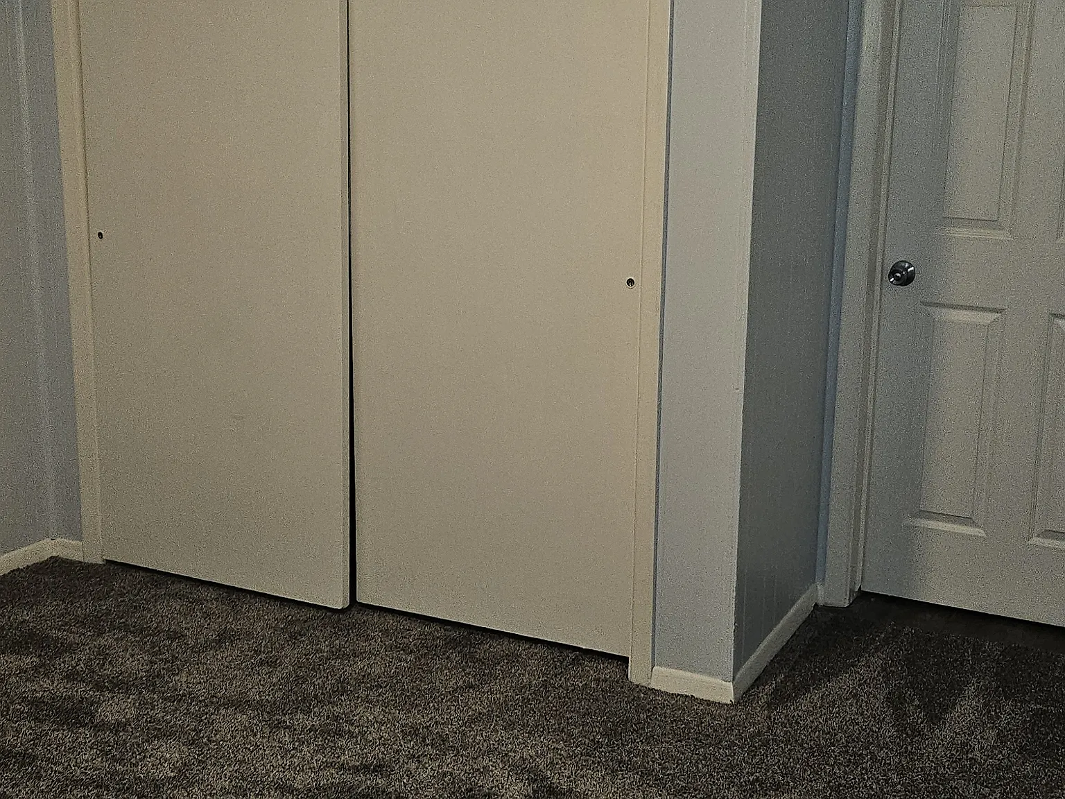 3 bed, 1.5 bath, 1469 sqft, $1,300 — Photo 4
