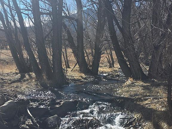 4th image of 10113 Trout Farm Rd