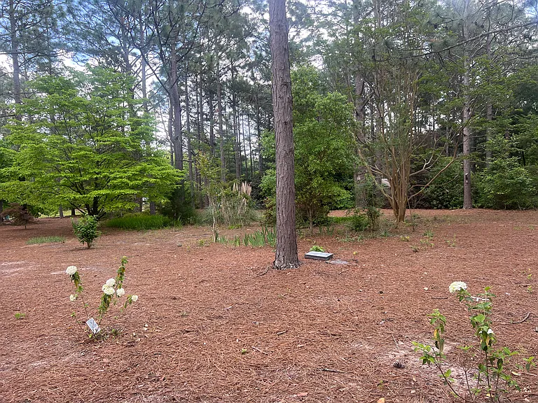 9 Pine Crest Dr — Photo 40