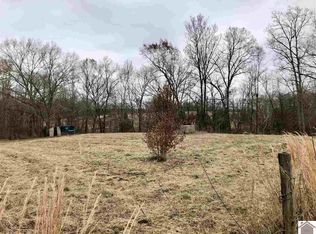 1456 McElrath Rd, Dexter, KY 42036