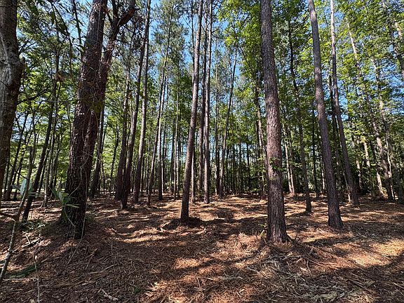 4th image of 0 Fish Rd #4 & 5