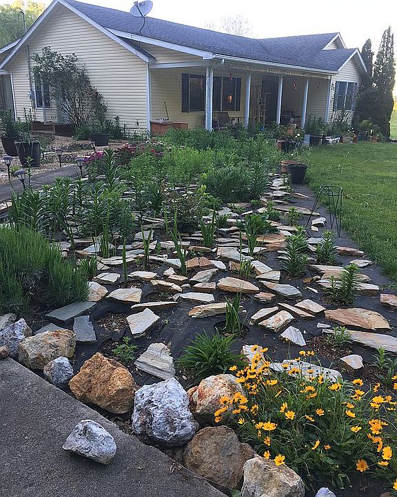 Front from Driveway Spring