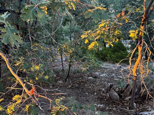 1 Crest Frst Lot 90, Cedarpines Park, CA 92322
