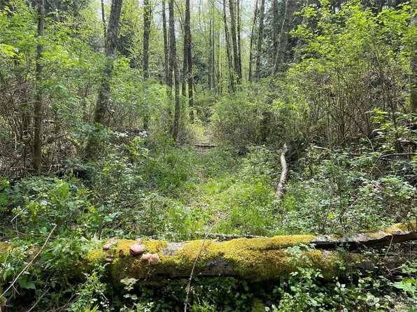 16201 30th Avenue NW, Lake Goodwin, WA 98292