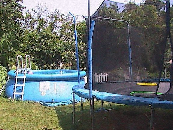 See the beauty of our back yard with the trees swaying in the wind.