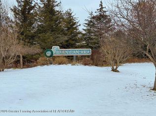 101 Daggertail Ln, Okemos, MI 48864
