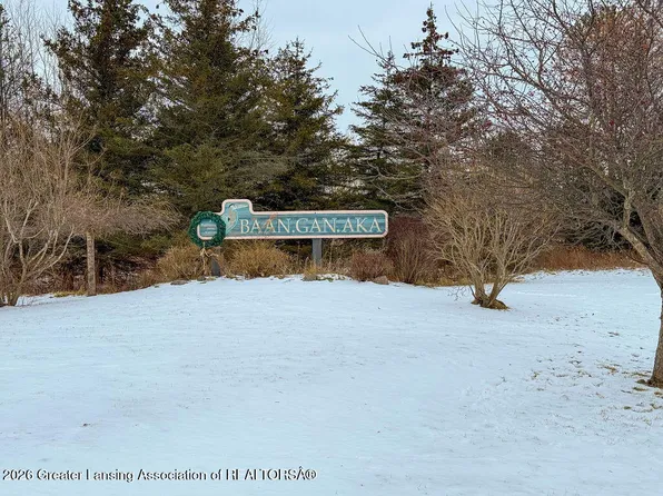 101 Daggertail Ln, Okemos, MI 48864