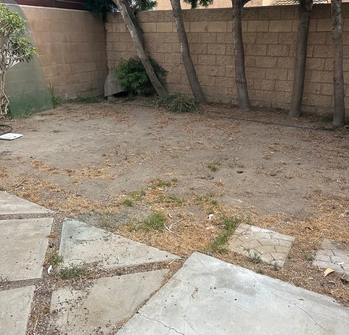 1 bed, 540 sqft, $2,500 — Photo 4