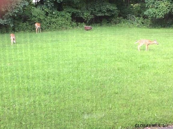 2nd image of 2701 BRUNSWICK MEADOW Way