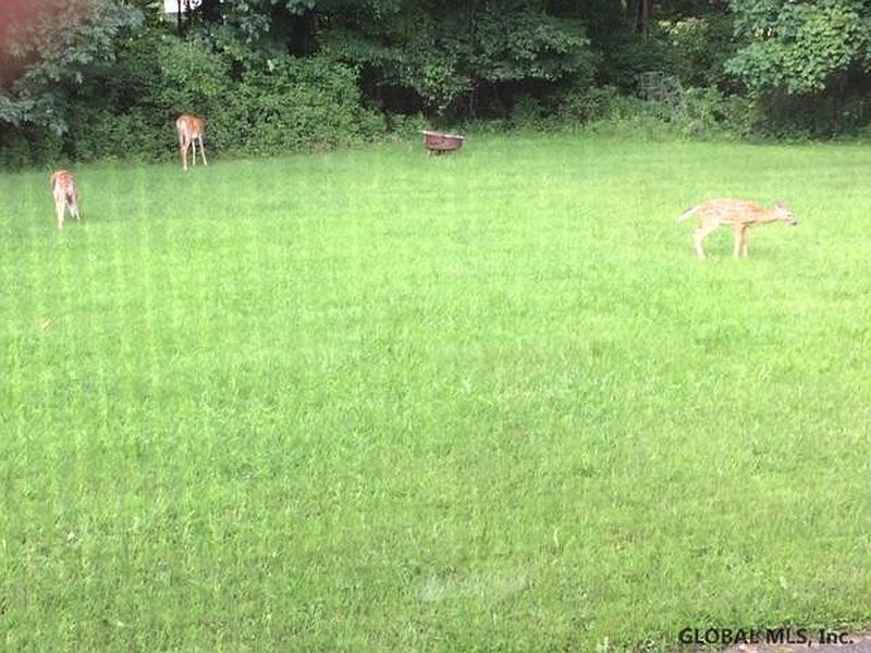 2nd image of 2701 BRUNSWICK MEADOW Way