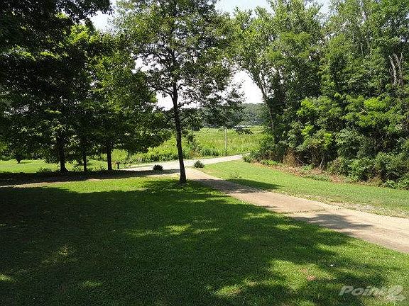 4 - view toward road