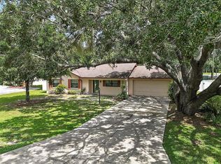 13701 Devenshire Ct, Grand Island, FL 32735