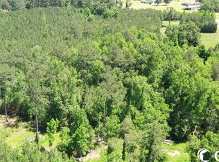 210 Oglethorpe Dr, Andrews, SC 29510