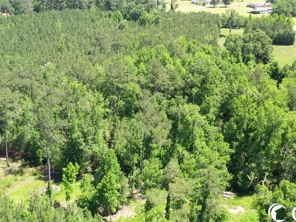 210 Oglethorpe Dr., Andrews, SC 29510