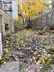 Rented by Space Real Estate