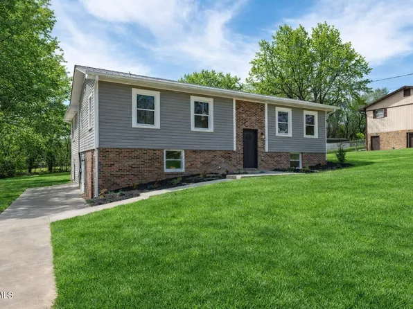 226 Dorothy Cir, Limestone, TN 37681