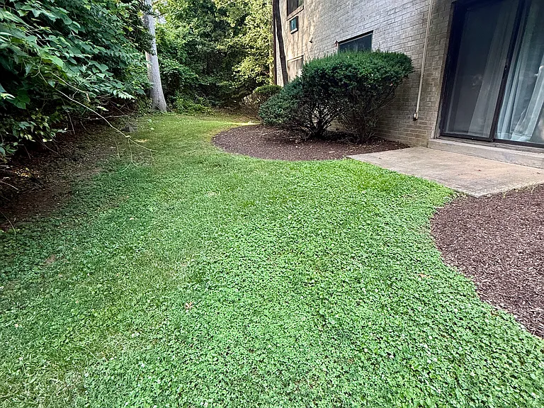 21 Dougherty Blvd #V3 — Photo 18