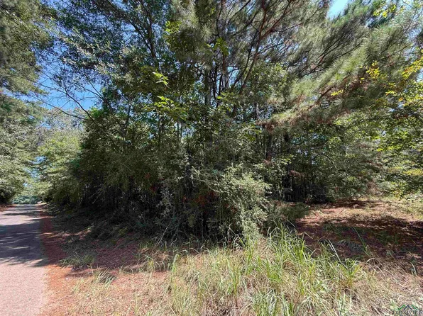 1308 Red Cedar Rd, Big Sandy, TX 75755