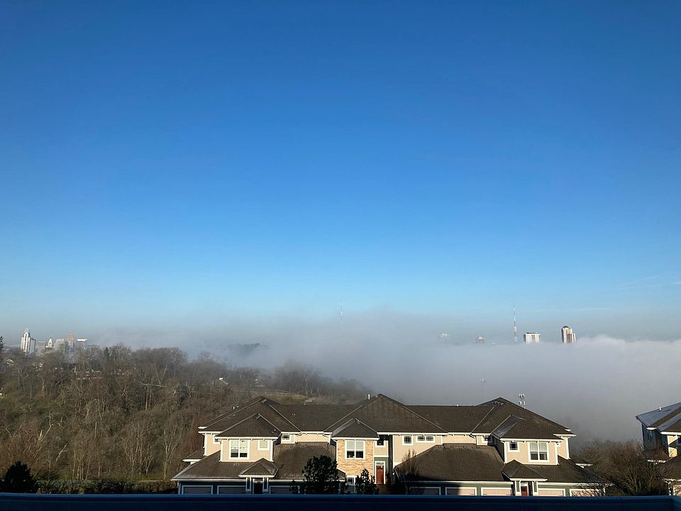 View from deck