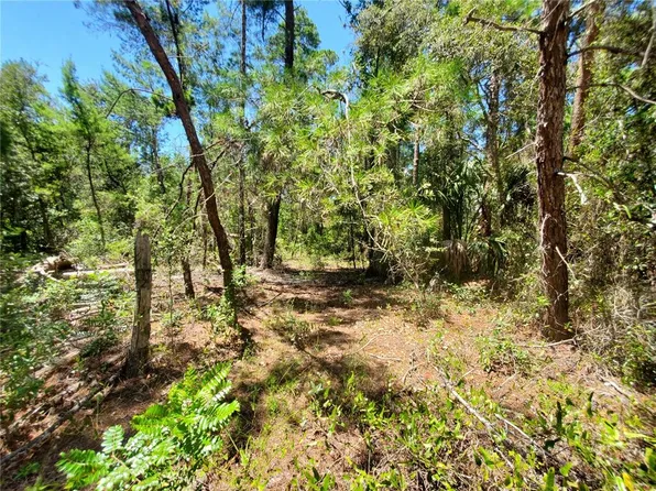 7 PETUNIAS COURT LOT 13, HOMOSASSA, FL 34446