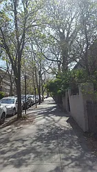 Rented by Brooklyn Bridge