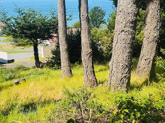3rd image of 110 Albatross Rd