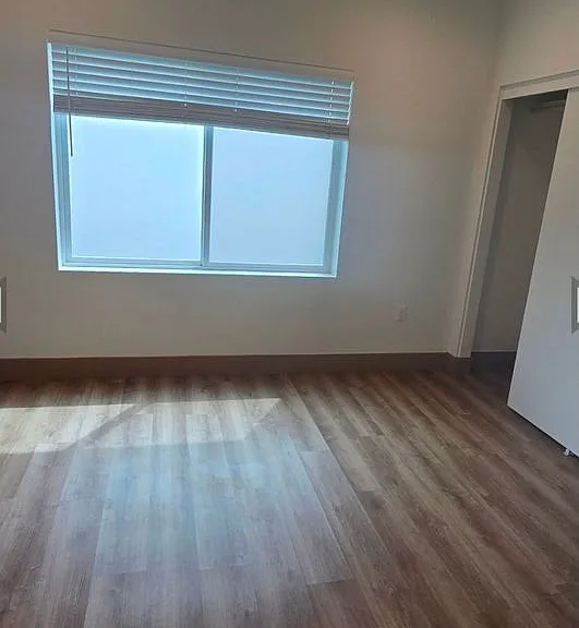 2225 Park St #203 — Photo 6