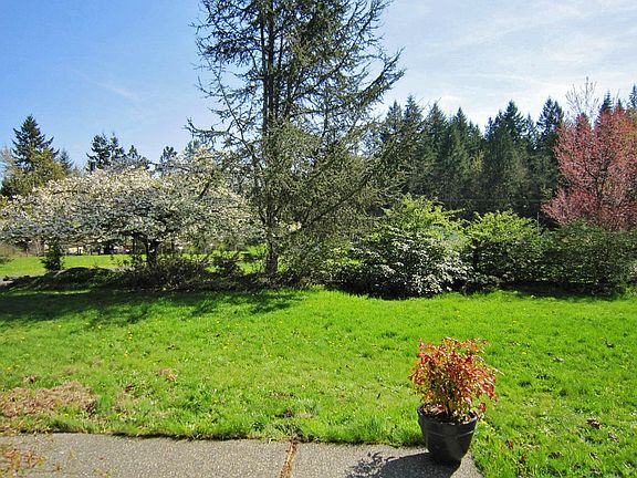 Everything is just starting to bloom. Creates nice privacy.