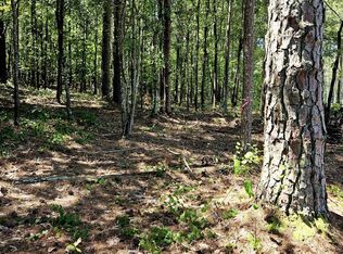 0 Carl Midway Church Rd, Auburn, GA 30011