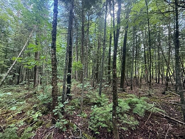 1st image of 198 Green Ridge Road