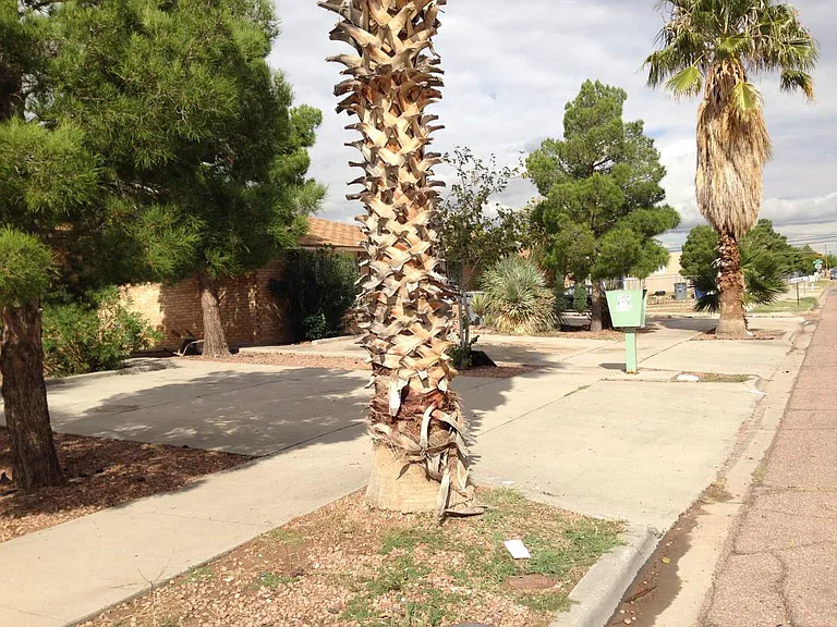 8829 Ankerson Dr — Photo 3