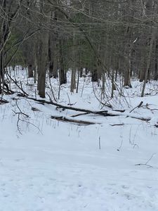 5591 W Huckleberry Rd, Shepherd, MI, 48883