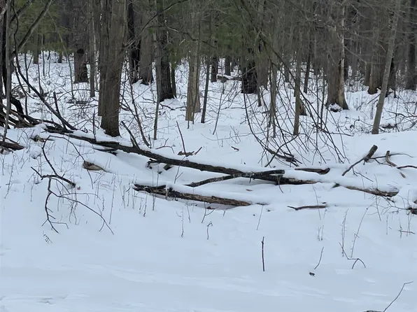 5591 W Huckleberry Rd, Shepherd, MI 48883