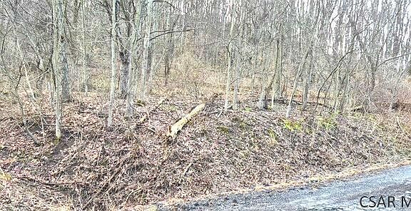 5th image of Patterson Rd