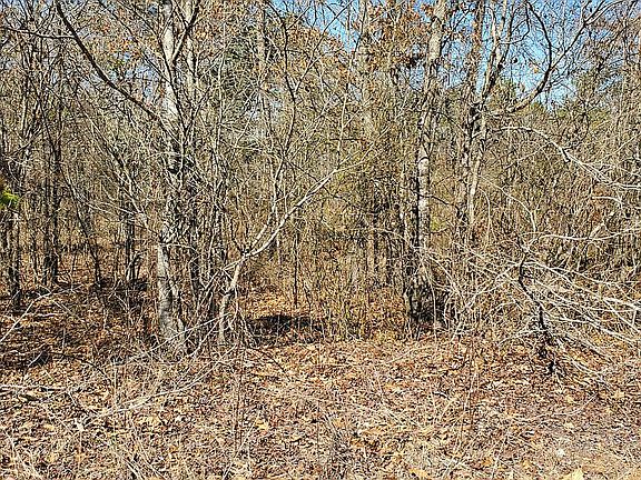 5th image of 150 Gunter Mountain Dr